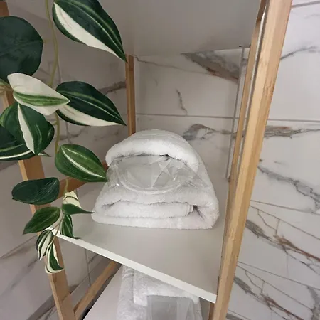 Sofia Q Apartment Timisoara